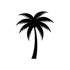 Obraz premium Single palm tree silhouette
