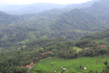 Panoramic tropical valley with rice fields forests and layered mountain ranges