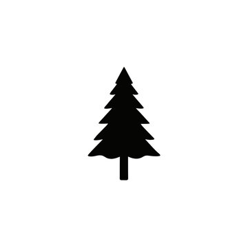 Simple pine tree illustration