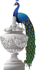 Elegant vector illustration of a royal Indian peacock perched on an ornate classical urn, featuring vibrant feathers, luxury detailing, and a clean white background.