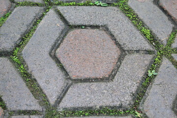Weathered hexagon concrete pavement with moss natural outdoor texture