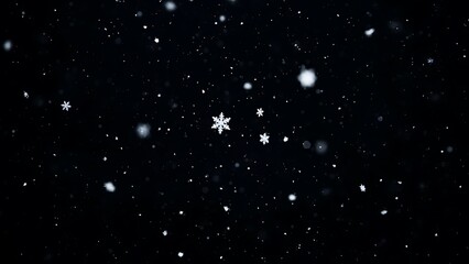 Obraz premium Snowflakes falling on black background falling snow winter 1