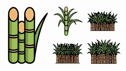 A collection of illustrative icons depicting various stages of sugarcane growth