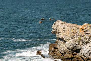 Group of people kayaking in the open ocean near a rocky coastline. Outdoor water sport adventure on a sunny day.