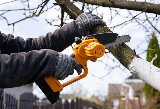 Gardener's hand cuts branch on a tree, using small handheld lithium battery powered chainsaw. Season pruning. Trimming trees with chainsaw in backyard home. Season cut tree. Close up.