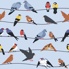 Seamless pattern with birds sitting on wires, cables, power lines. Feathered urban animal perched in rows. Endless background, texture, repeating print design. Printable flat vector illustration © Good Studio
