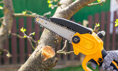 Garden hand-held cordless saw. Worker in grey gloves directs yellow-black chainsaw to thick tree branch. Season pruning. Trimming trees with chainsaw in backyard home. © NastyaPhoto