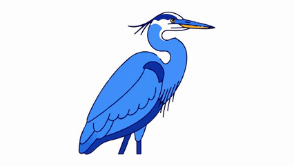 Fototapeta premium A blue heron stands with its long neck curved and yellow beak pointed