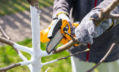 Garden hand-held cordless saw. Worker in grey gloves directs yellow-black chainsaw to thick tree...