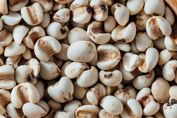 White Seeds Background with Delicate Texture and Natural Colors