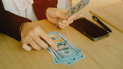 Dollar currency, financial work, financial planner and financial investment, income from work, making money.