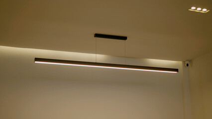 The light bulb provides illumination for interior spaces in homes and shops. It has a warm, modern, soft yellow light.