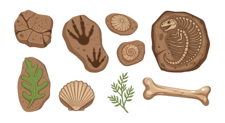 Fossilized remains ancient creatures and prehistoric plant life illustration © Begum