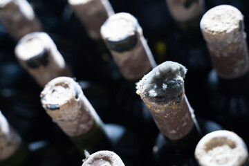 Closeup of vintage wine bottles with mold covered corks stored in a dark aging cellar during