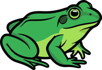 Fototapeta premium Cartoon green frog on white background