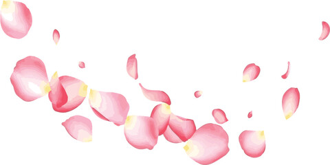 Graceful cascade of delicate pink rose petals scattered over a clean white background