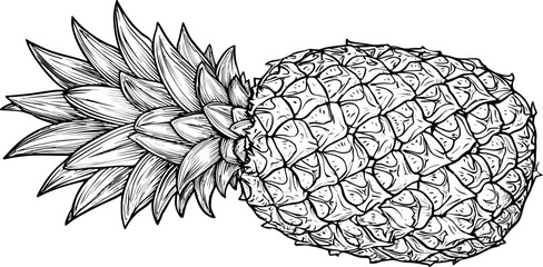 A refreshing and tropical visual of a pineapple is on display, with one pineapple rendered in full color and another in detailed line art