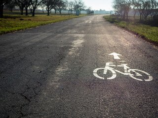 Bicycle lane marking with arrow on asphalt road in park landscape, cycling path for sustainable transport and outdoor recreation.