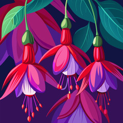 Vibrant fuchsia flowers hanging down a colorful illustration with a dark background