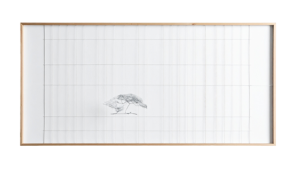 Pencil sketch of a small bird on grid paper, framed in wood