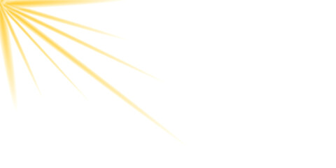 An explosion of light with abstract rays illuminates a fractal design of dandelion seeds and barley grain in a natural abstract background vector.