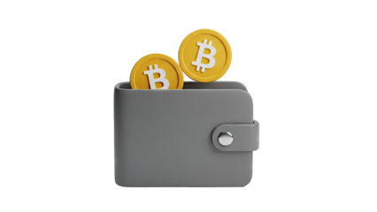 Bitcoin Wallet with Coins