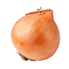 Yellow onions are a common and versatile type of onion used in cooking worldwide, isolated on a white background