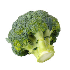 close up of fresh broccoli isolated on a white background