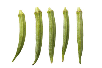 pod of okra, also known as lady finger or gumbo isolated on a white background