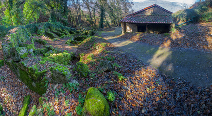 Marta Ravine of Valdastillas, Jerte Valley, Caceres, Extremadura, Spain