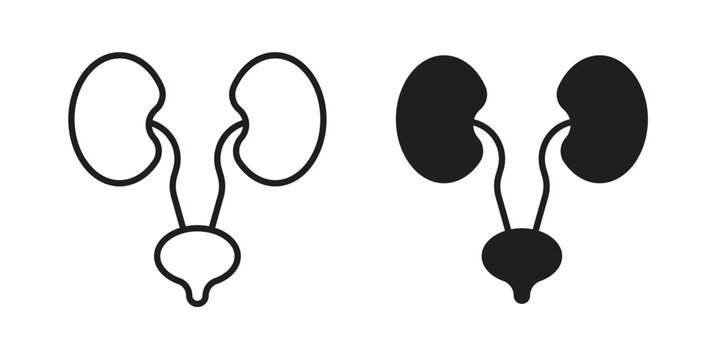 Urology icons set designed in filled, outline, line and stroke style