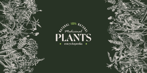 Medicinal plants and herbs banner