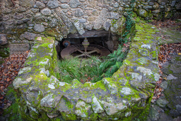 Marta Ravine of Valdastillas, Jerte Valley, Caceres, Extremadura, Spain