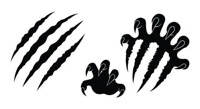 Dramatic claw marks and detailed paw prints create a striking visual composition a powerful silhouette