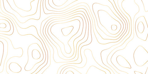 Topographic map background with geographic grid for hiking and mountain sport. luxury topographic wavy pattern and geographic grid map design. paper texture Imitation of a geographical map shades. © Abdur Rahman Safin 