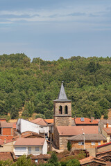 Charming Village Church Tower Surrounded by Forest