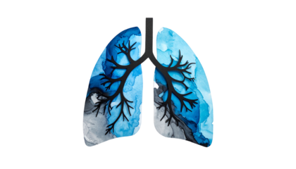 Watercolor lungs illustration shows the respiratory system in shades of blue