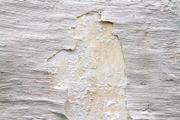 Old peeling plaster on a whitewashed wall