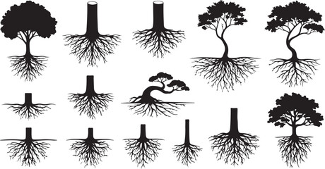 Vector set of tree root silhouettes. Organic underground branch systems and plant base elements in black for natural design and illustration