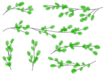 Watercolor spring branch elements for nature background　春の新芽のついた枝のイラストセット