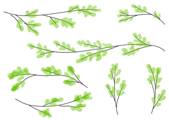 Watercolor spring branch elements for nature background　春の新芽のついた枝のイラストセット