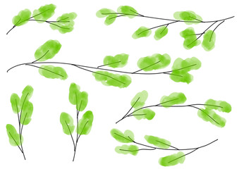 Watercolor spring branch elements for nature background　春の新芽のついた枝のイラストセット