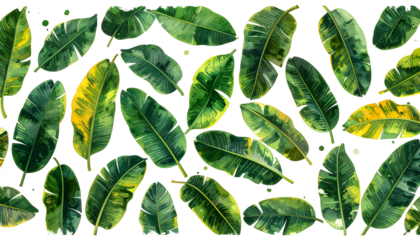 Lush, watercolor-style leaves, varied shades, black background