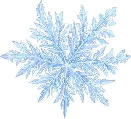 Detailed Artistic Snowflake Illustration Blue Winter Season Decorative Element