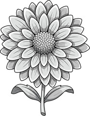 Detailed Line Art Flower Blossom with Stem and Leaves Illustration