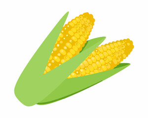 Fresh yellow corn on the cob with green husks a summer harvest image