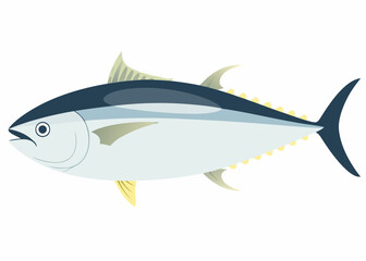 A detailed illustration of a bluefin tuna fish with distinctive coloration
