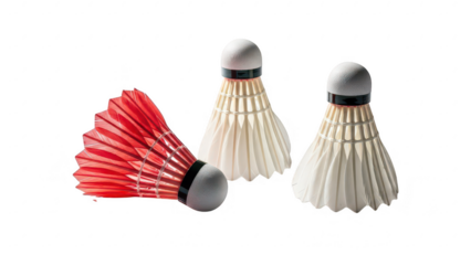 Pair of badminton shuttlecocks with white feathers and black rubber tips on transparent background