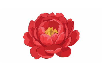 Bright red peony flower vector illustration isolated on white background for floral design © Jakia
