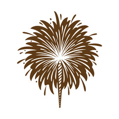 Fototapeta premium Brown firework explosion silhouette on white background festive pyrotechnic display element